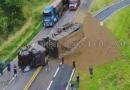 Carga de ração se espalha após tombamento de caminhão na SP-333