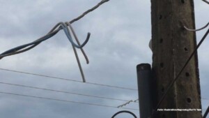 Furto de fios e danos em padrão de energia são registrados em residência no Maria Luiza I