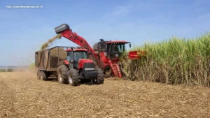 Fazenda Pavão abre vagas para Operador de Colhedora e Plantadora