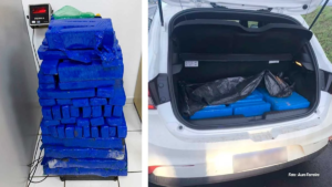 Motorista foge de abordagem e acaba preso com grande quantidade de maconha na SP-333