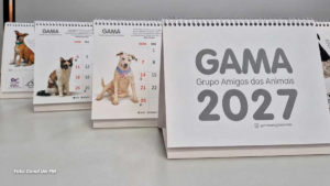 GAMA disponibiliza calendários de 2027 para ajudar na castração de animais